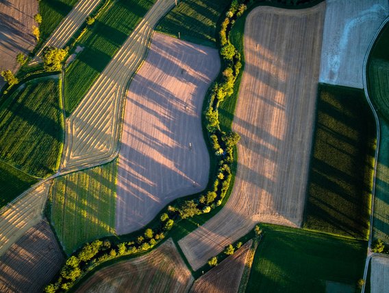 Hansa Business-Park Hansa Business-Park