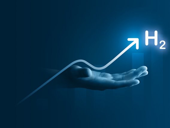 Investments and investors Investitionen und Investoren